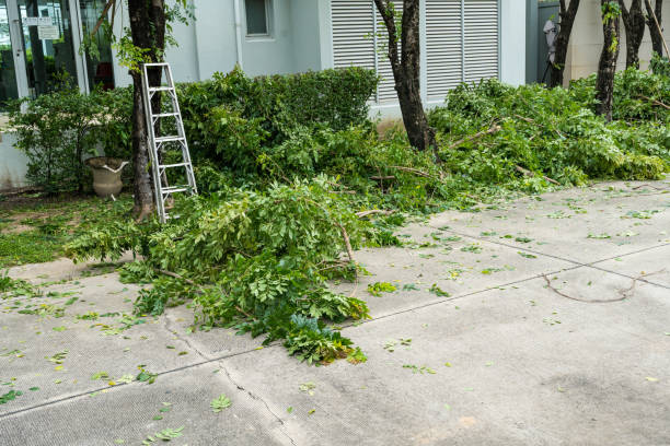 Best Pest Control for Lawns  in Worthington Hills, KY